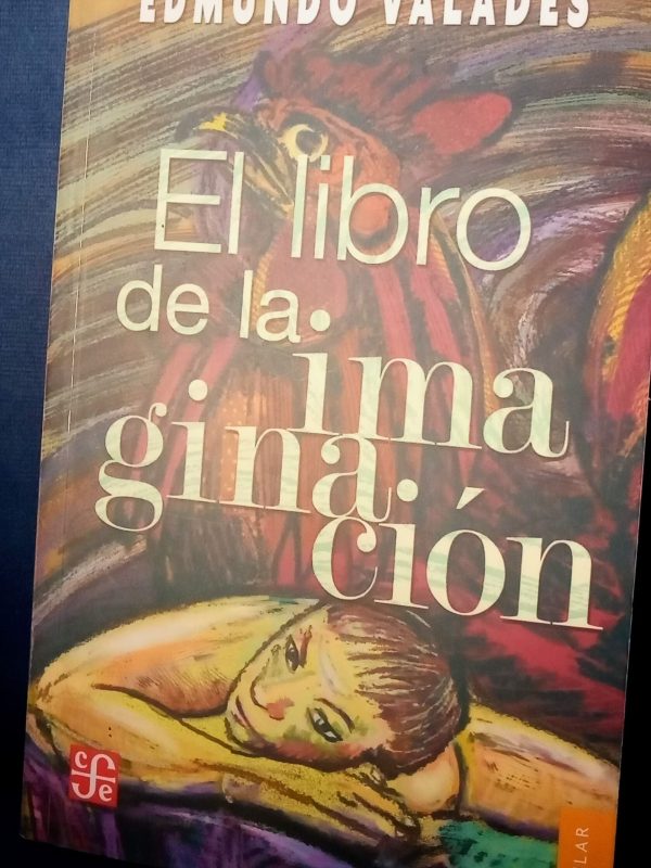 El libro de la imaginación